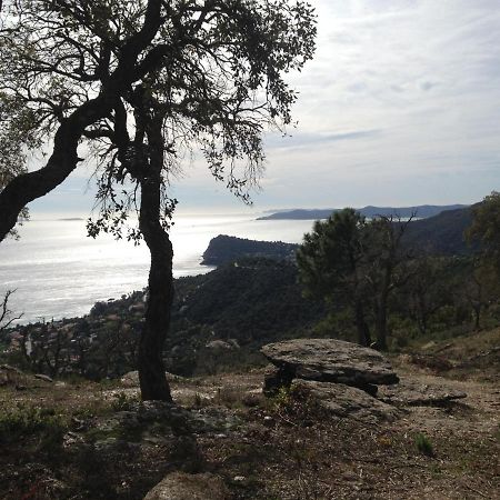 Chemin De La Roseraie Cavalaire-sur-Mer Exterior photo
