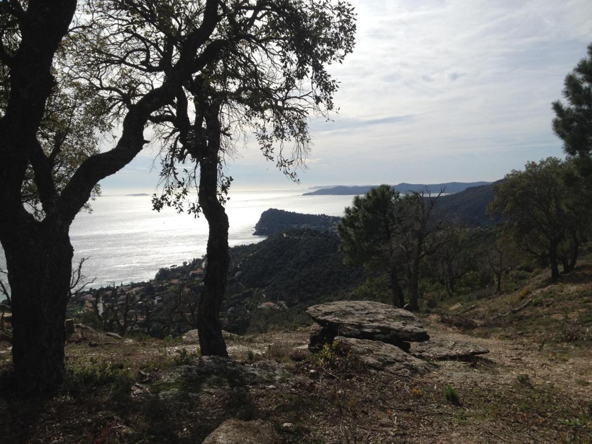 Chemin De La Roseraie Cavalaire-sur-Mer Exterior photo